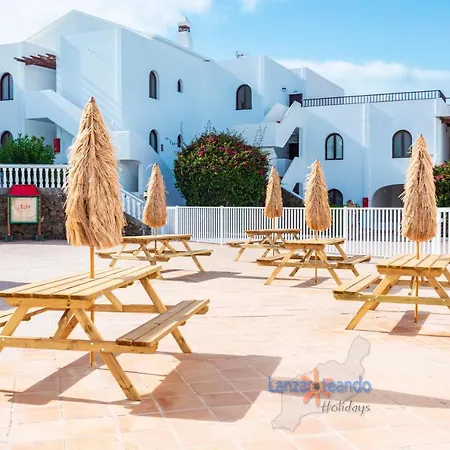 Cactus * Costa Teguise