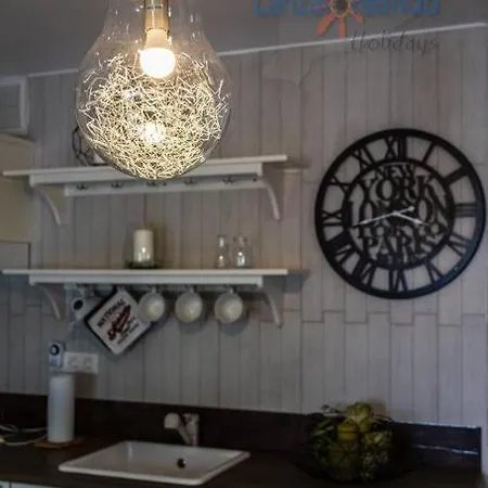 Cactus Costa Teguise