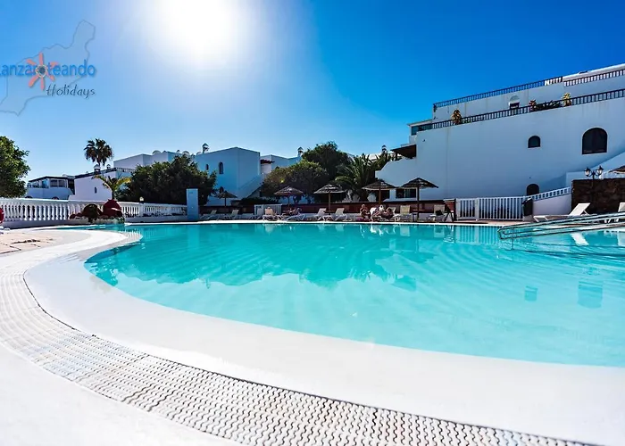 Cactus * 科斯塔特吉塞